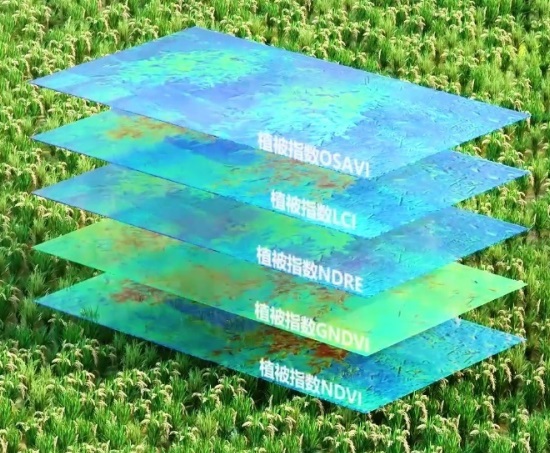 1706510076345005950.jpg