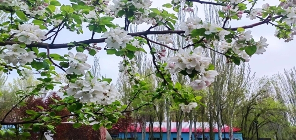 微信图片_20250710204508