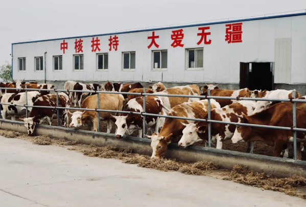 扶贫攻坚同擎蓝图11 扶贫攻坚同擎蓝图11