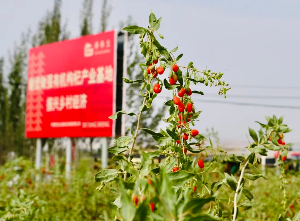 扶贫攻坚同擎蓝图10 扶贫攻坚同擎蓝图10