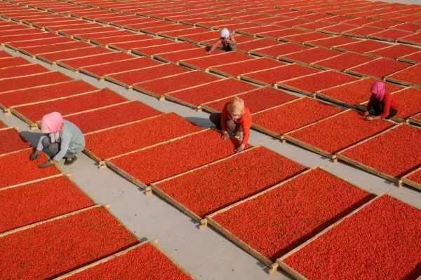 扶贫攻坚同擎蓝图15 扶贫攻坚同擎蓝图15