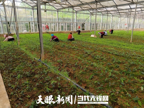 中核汇能贵州公司图4