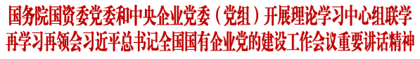 国资委标题图片