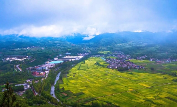 微信图片_2025-11-05_092648_501 微信图片_2025-11-05_092648_501