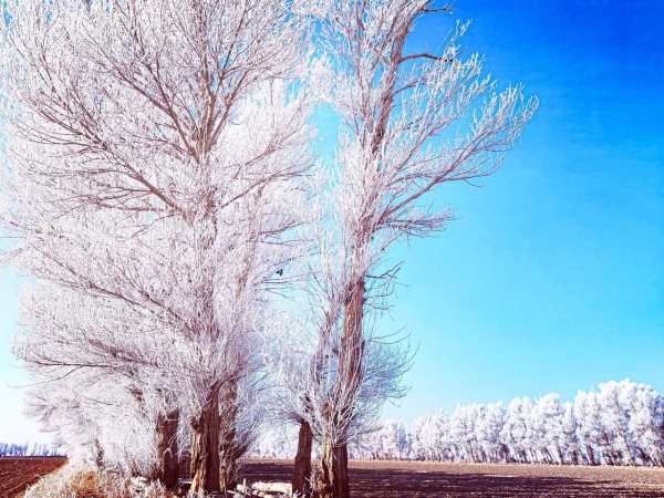 微信图片_2026-01-04_103240_836 微信图片_2026-01-04_103240_836